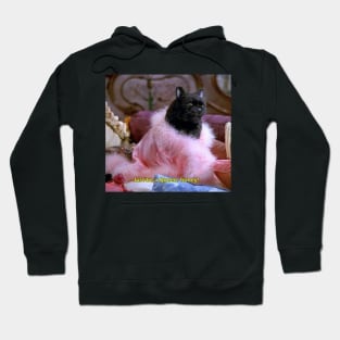 Salem the Cat Hoodie